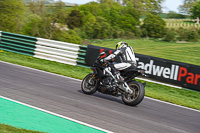 Lower Group Black Bikes